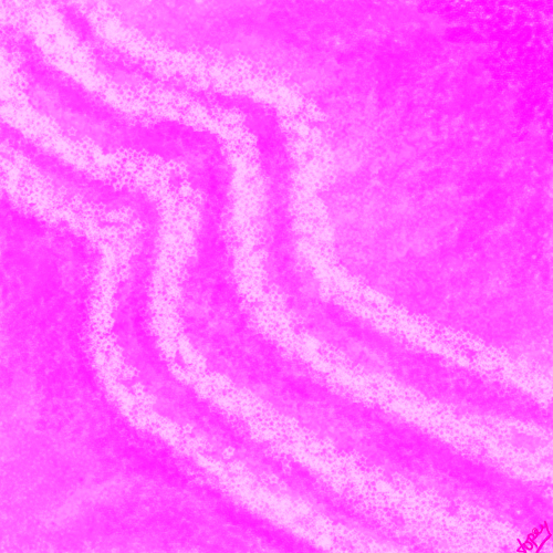 Sweet Symphony.jpg